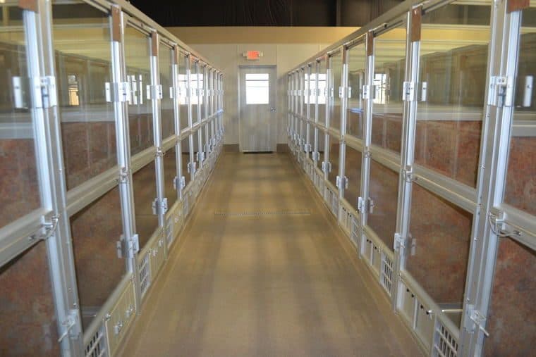 Pereff veterinary clinic project — photo 5