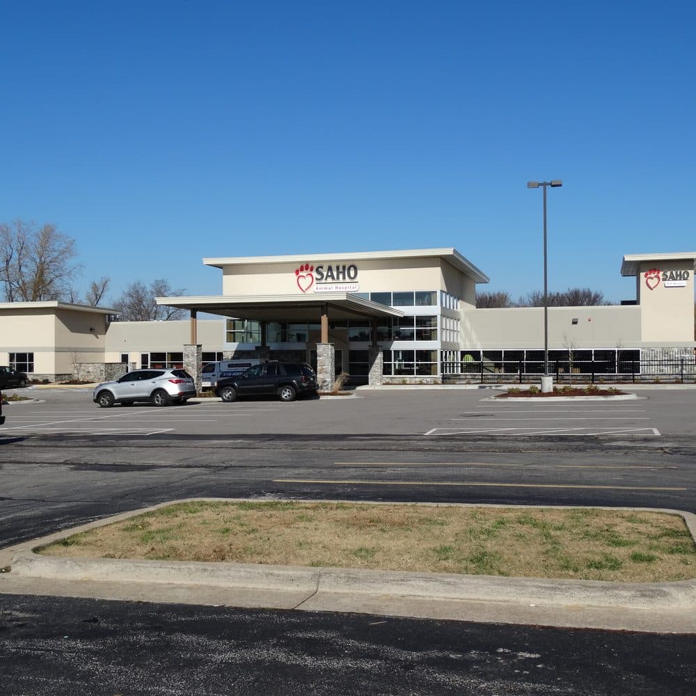 Pereff veterinary construction project